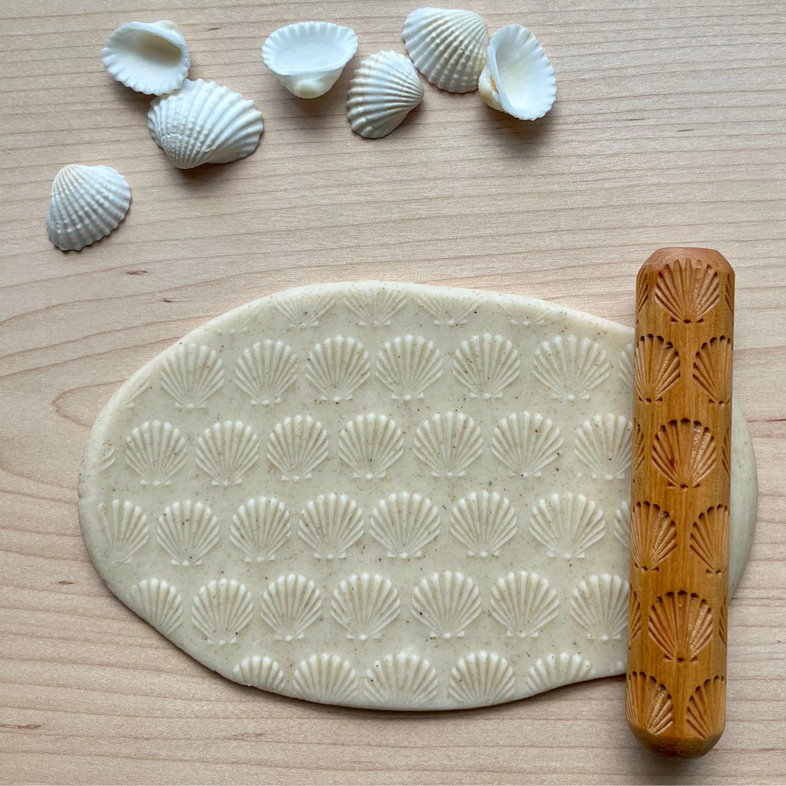 Seashells
