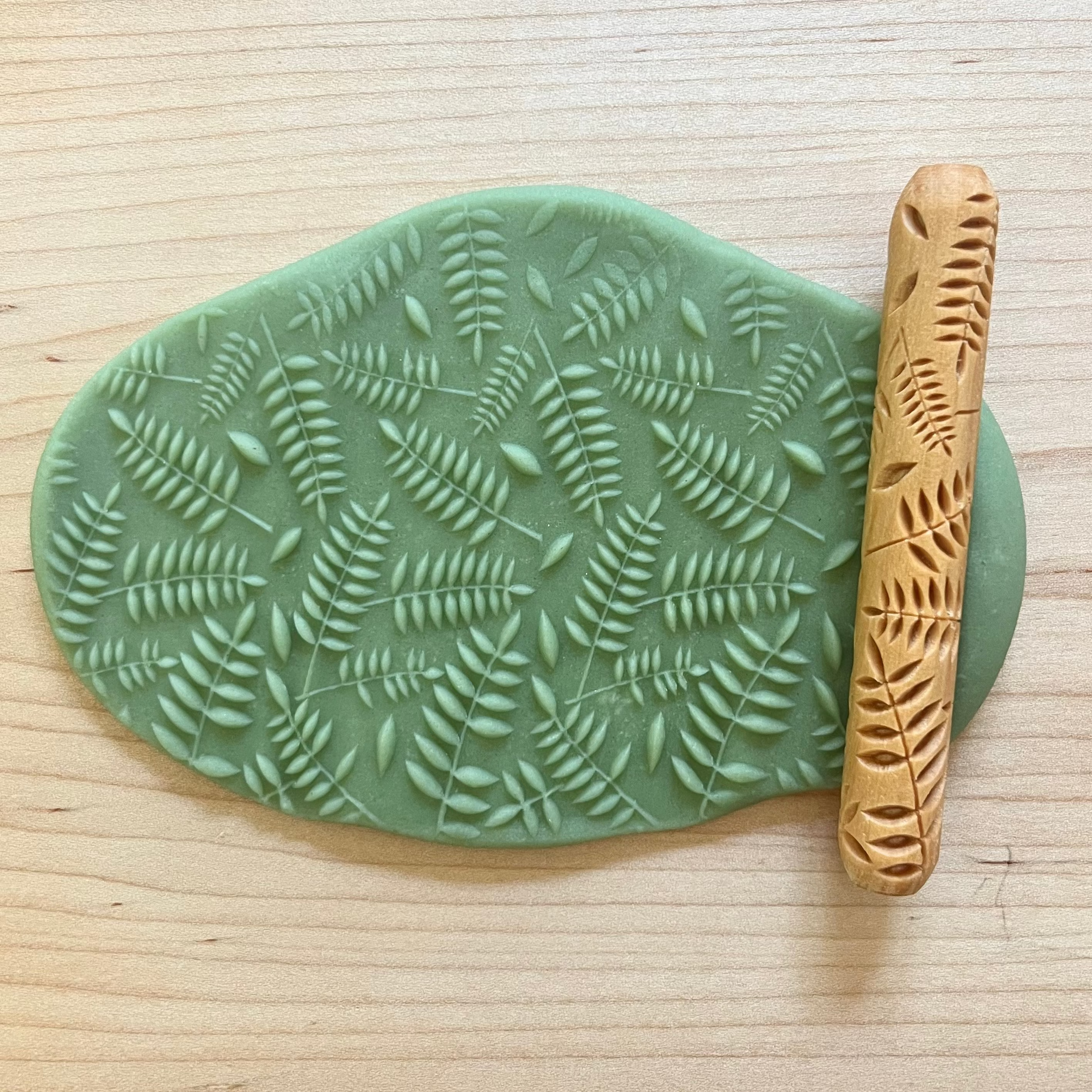 Ferns
